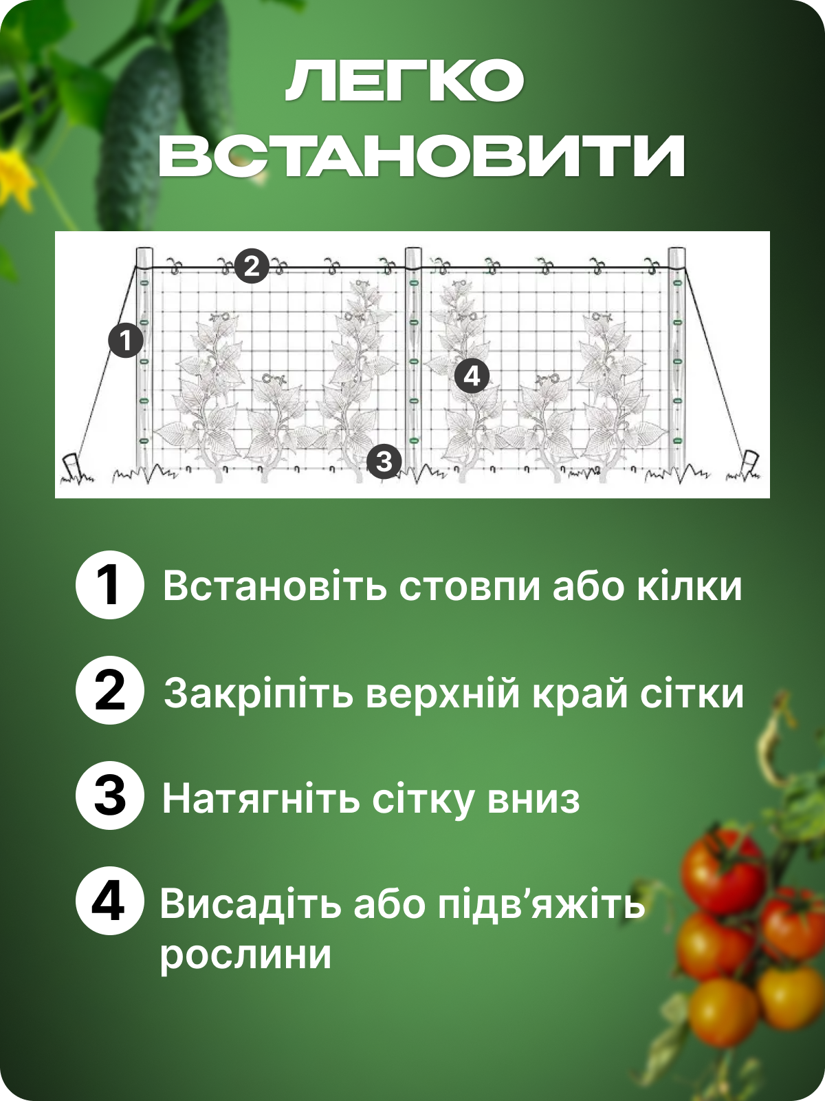 Простий монтаж шпалерної сітки